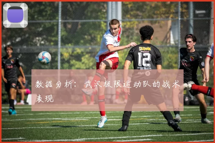 数据分析：武汉极限运动队的战术表现
