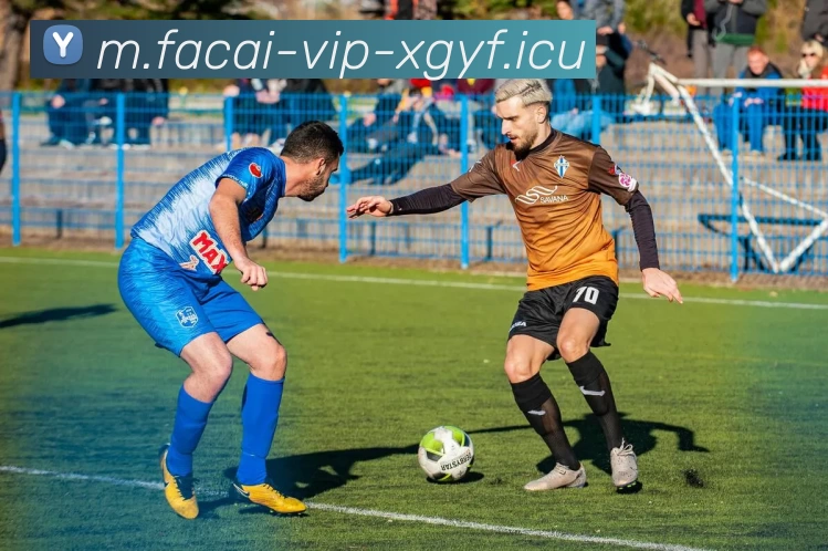 乐鱼体育注册全站App